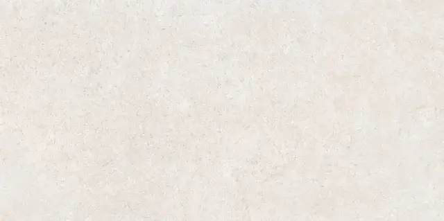 Сэндстоун Белый Матовый R10a 60x120