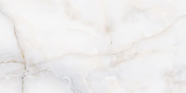 Onix White Polished 60x120