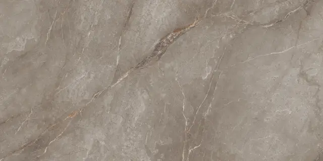 Orobico Brown Polished 60x120