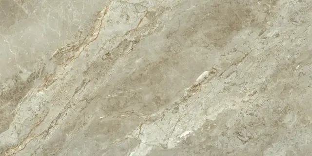 Rome Taupe Polished 60x120