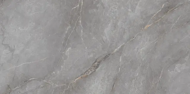 Orobico Grey Polished 60x120