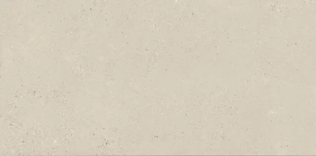 Bottega Caliza Matt 60x120