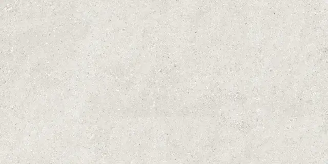 Stonhenge Grey Matt Shape 60x120