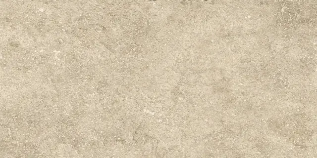 Clastic Pearl Matt 12mm R10 30x60