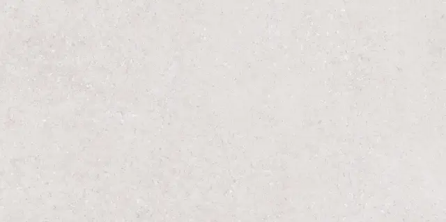 Venti Pearl Matt 60x120