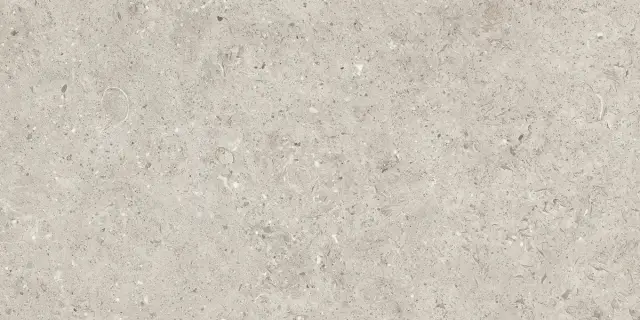 Beren Light Grey Natural 60x120