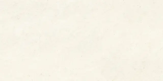 Bera White Lane Ductile 60x120