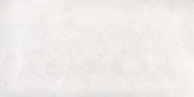 Norwegian White 60x120