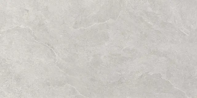 North Slate Grey 60x120