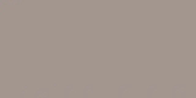 Monotone Dust 60x120