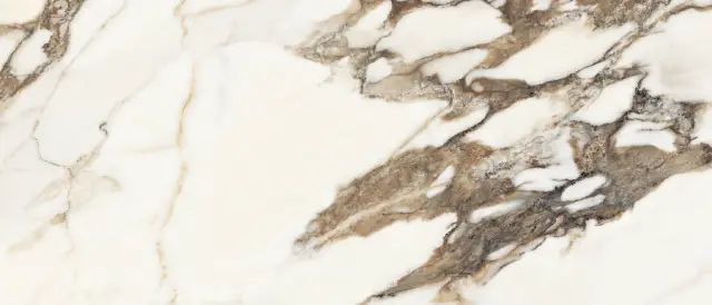 Calacatta Venato Polished 120x278