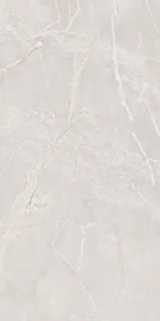Керамическая плитка 60*120 ARIANA CORAL SUGAR CARVING IT (ППх)