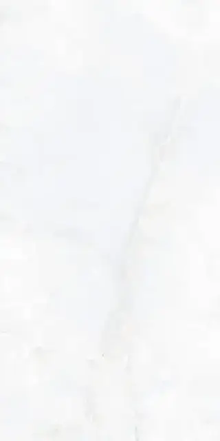 Керамическая плитка ONIX BLANCO Porcelain Rectifed Polished 60*120