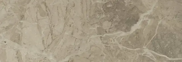 Керамическая плитка ELEGANCE NATURAL 2984 NPLUS