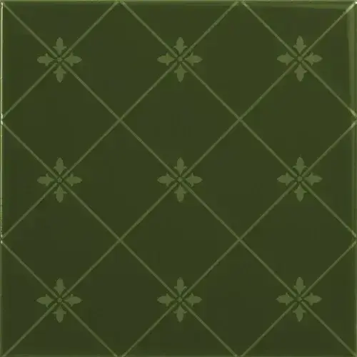 Керамическая плитка DELIS VERDE BOTELLA 20X20