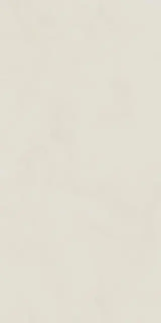 Керамическая плитка COOL GHOST 60X120 RETT