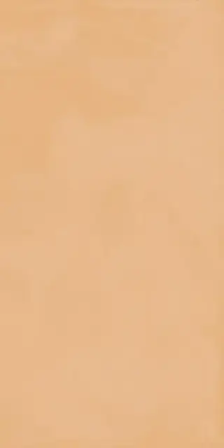 Керамическая плитка 60X120 TOUCH EVO CORAL RETT