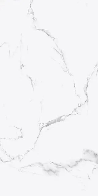 Керамическая плитка 60x120 BRUNT WHITE GLOSSY (ППх)