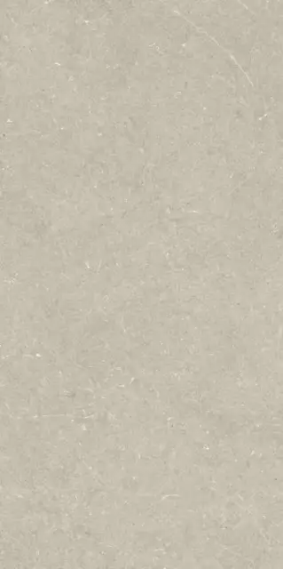 BERGSTEIN BEIGE MATT 60X120  Artech