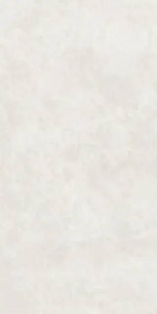 ÉTOILE BIANCO 60X120