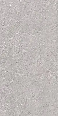 SAN VICENTE NATURAL MATT 60X120