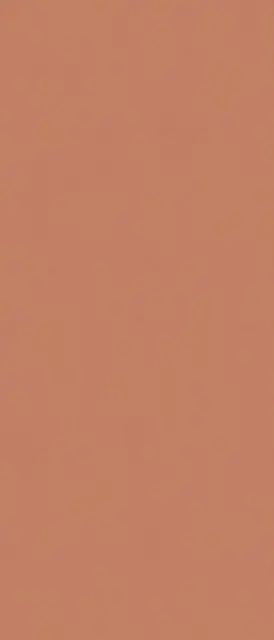Arcilla Red matt  ZZ 120x280