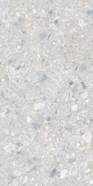 Dallas светло-серая 60x120 ZZ