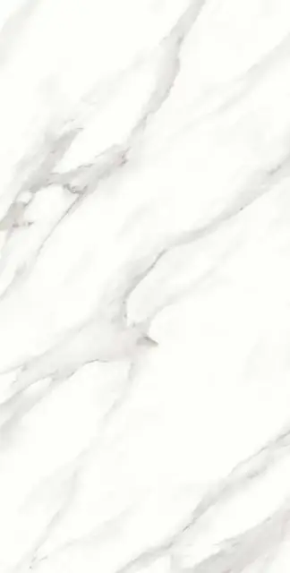 Calacatta Vero Satin 60x120