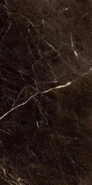 60X120 JAVA BROWN POLISHED RC.PR.TL
