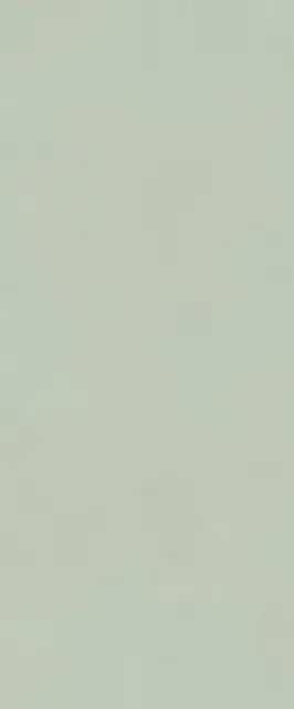 TRUE COLOR 50X120 MATCHA MATT