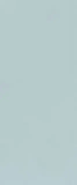 TRUE COLOR 50X120 CLOUD MATT