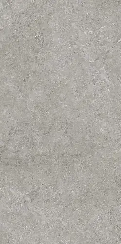 SENSI GREY FOSSIL NAT 6MM 120X240 R