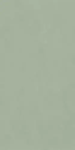 POLICROMA LICHENE MAT 6MM 120X240 RET