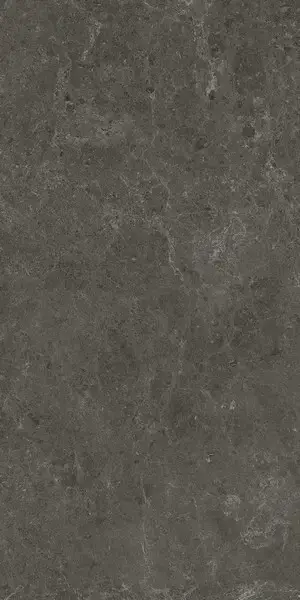 Nyra Charcoal 60x120