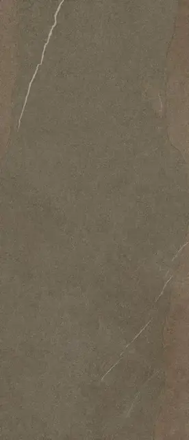 Forte Dei Marmi Rock Alpine Brown 120x278