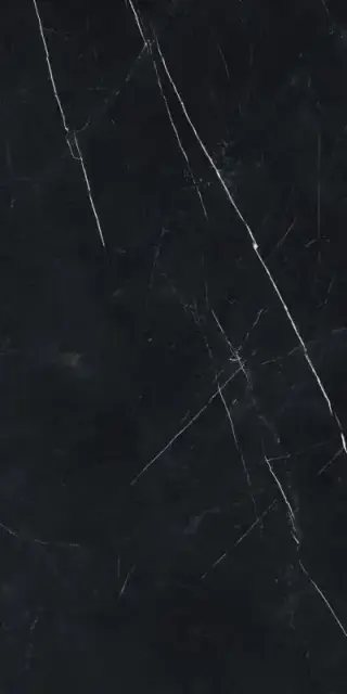 Forte Dei Marmi Elegant Black Rett 60x120 Cerato