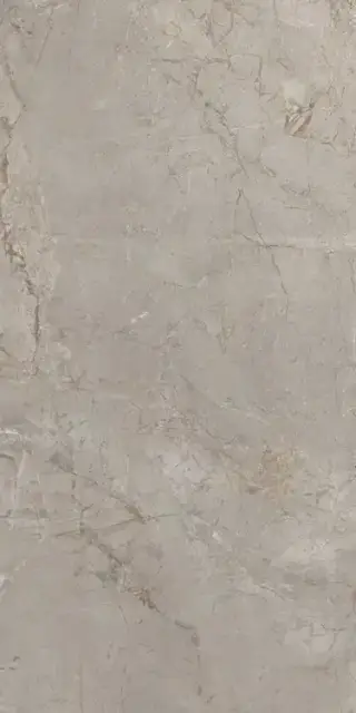Elements Lux Silver Grey 60X120 NAT