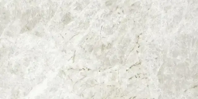Energieker Полированный Imperial Taj Mahal Shell LCP L11TAJSH 60×120 см, керамогранит