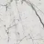 Шарм Эво Статуарио Люкс 60x60