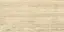 Asian Beige Polished 60x120
