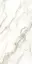 Carrara white 60x120