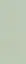 TRUE COLOR 50X120 MATCHA MATT