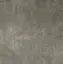 MATI?RES DE REX GRIS 60X60 RET