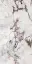 POLICROMA BRECCIA MAT 6MM 120X240 RET