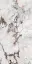 POLICROMA BRECCIA GLO 6MM 120X240 RET