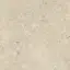 Nyra Sunlight 60x60