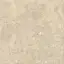 Nyra Ambrosia 120x120