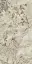 Marvel Epic Alpinus 60x120