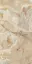 ONYX&MORE GOLDEN ONYX GLOSSY 6MM 120X240 R
