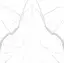 I Naturali Statuario Altissimo Soft Touch B. M.* 162х324 12+